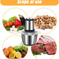 Heavy-Duty 3L Stainless Steel Meat Grinder and Food Processor for Meat, Vegetables, Fruits - Electric Kitchen Mincer and Chopper - Silver