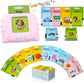 Flash Card Toy