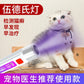 Handheld LED Money Detector, Currency Detector