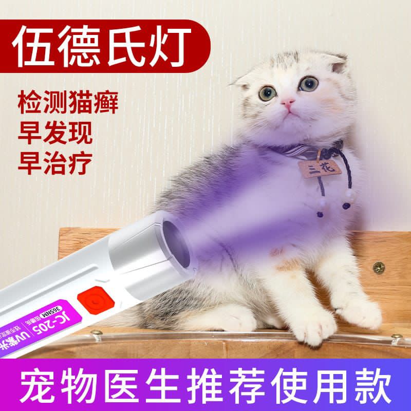 Handheld LED Money Detector, Currency Detector