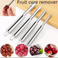Stainless Steel Fruit Seeds Remover