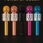 WS-858 Portable Rechargeable Wireless Bluetooth Microphone & Hifi Speaker