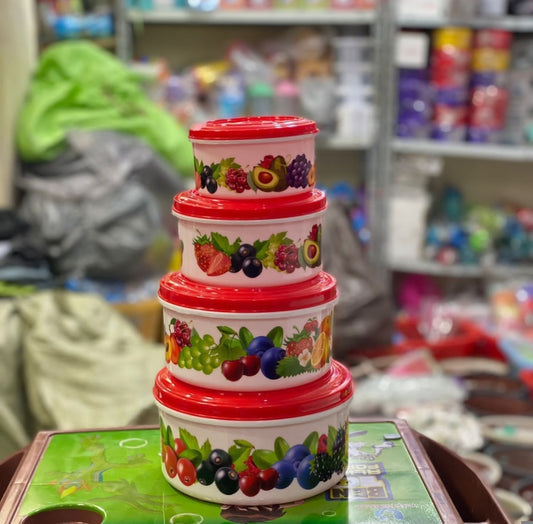 Pack of 4 Storage Box