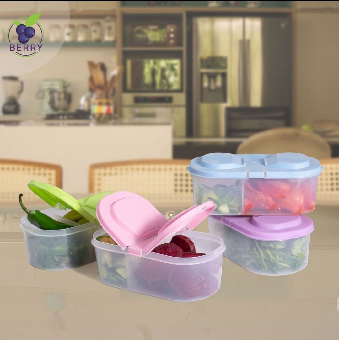Splash Dual Compartment Food Container-Large-Pack of 2
